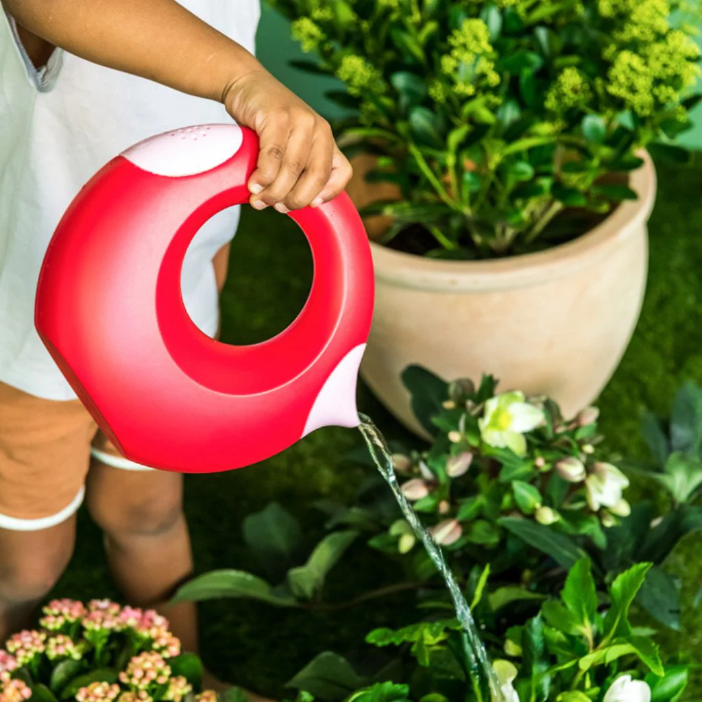 Cana gieter Large Cherry - Image 5